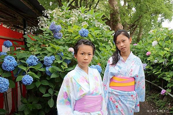 和服&紫陽花38.jpg
