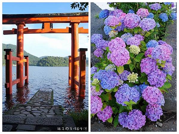 箱根神社.jpg