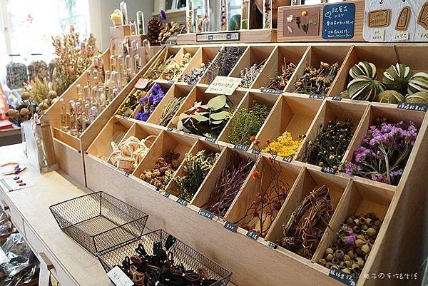 審計新村23.jpg 審計新村23.jpg