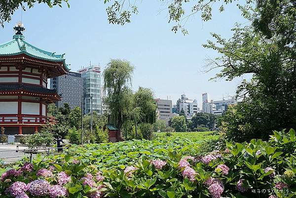 18東京 醉人的繡球花海盡收眼裡 上野公園 日本紫陽花季繡球花名所之一 瓶子の手作 生活 痞客邦 18東京 醉人的繡球花海盡收眼裡 上野公園 日本紫陽花季繡球花名所之一 瓶子の手作 生活 痞客邦