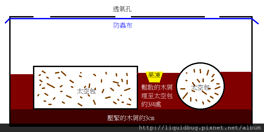 菌床繁殖法-1