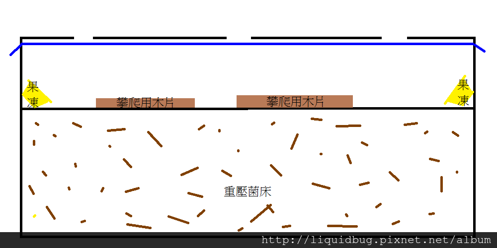 菌床繁殖法-2