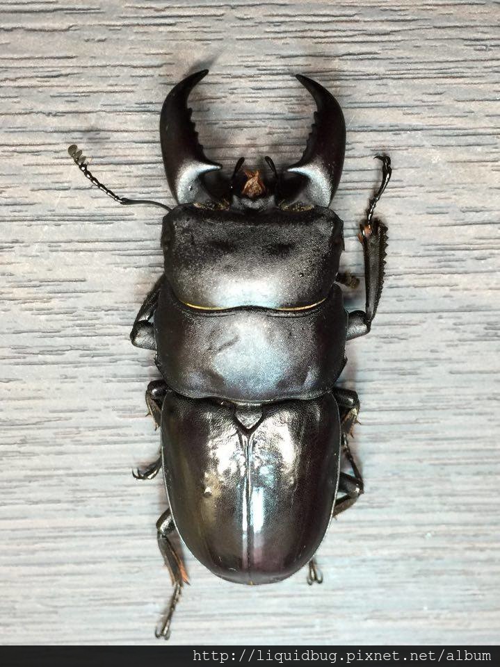 12539899_1071664239544919_125363629_n 12539899_1071664239544919_125363629_n