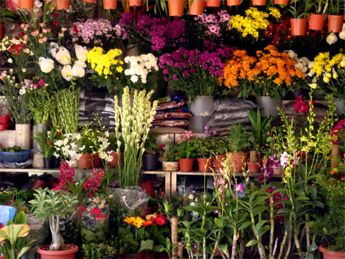 flowers at Tiong Bahru market.jpg