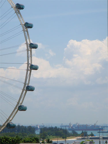 the famous ferris wheels.jpg