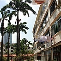 Tiong-Bahru-st..jpg