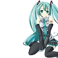 Konachancom-40857hatsune_mikuthighh[1].jpg