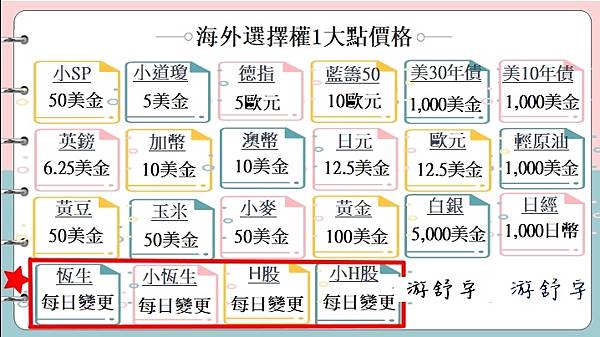 海外選擇權一大點金額3-0.jpg