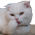 t_144cb0ac848b48.gif t_144cb0ac848b48.gif