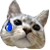 24_499_2.gif 24_499_2.gif