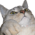 24_499_17.gif 24_499_17.gif