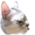 24_499_5.gif 24_499_5.gif
