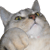 24_499_26.gif 24_499_26.gif