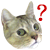 24_499_46.gif 24_499_46.gif