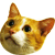 1770832453.jpg 1770832453.jpg