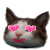 t_144cb0a43a28a7.gif t_144cb0a43a28a7.gif