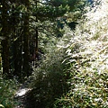 P1070125.JPG