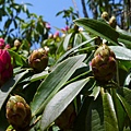 P1080999.JPG