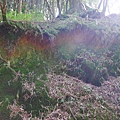 P1080870.JPG