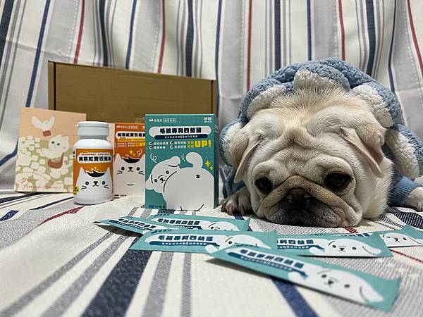 S__41107462 S__41107462