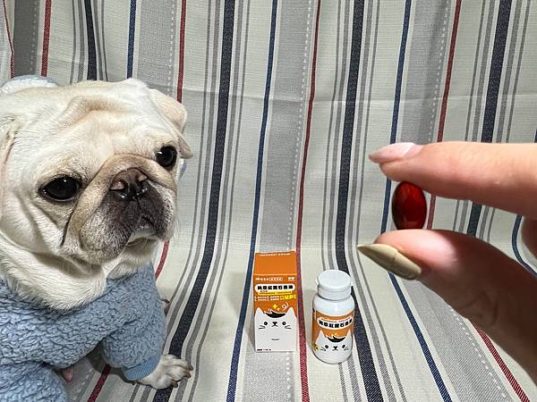 S__41107463 S__41107463