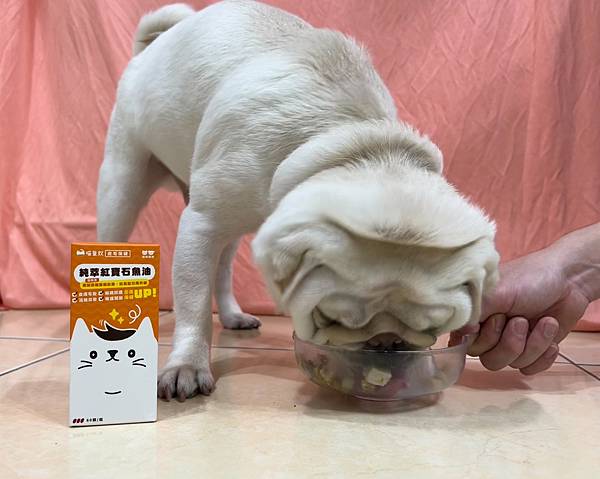 S__41107465 S__41107465