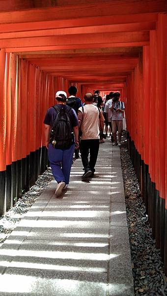 京都大阪七日遊~第一天(稻荷神社、宇治)