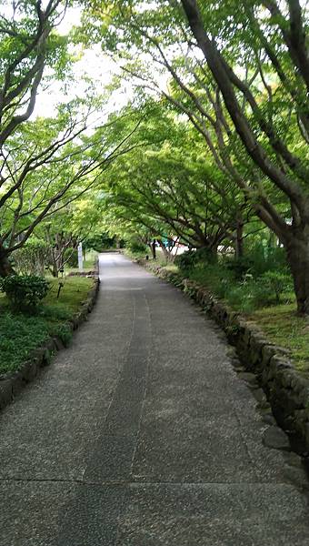 京都大阪七日遊~第一天(稻荷神社、宇治)