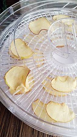 食物風乾機 食物風乾機