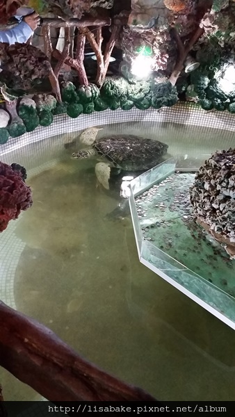 20150703_103304.jpg 20150703_103304.jpg