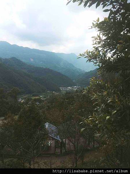 2015-08-12 21.51.09.jpg