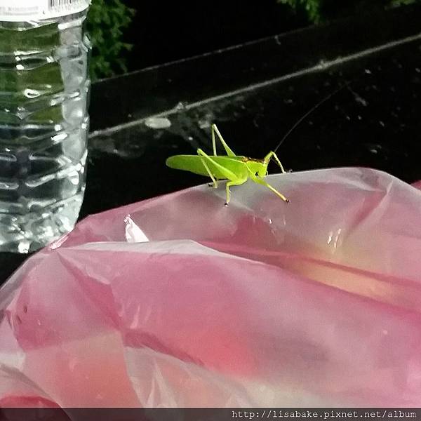 2015-08-12 21.50.34.jpg 2015-08-12 21.50.34.jpg