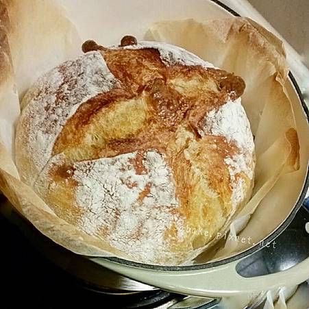 16-03-29-11-00-37-479_deco_resized.jpg 16-03-29-11-00-37-479_deco_resized.jpg