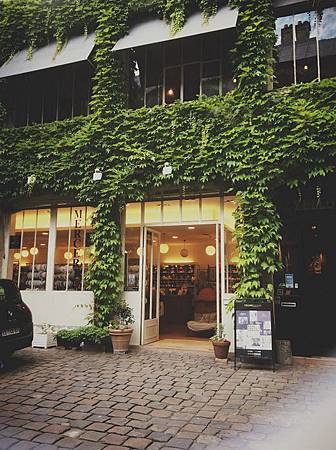 IMG_1977JPG