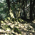 石門山登山步道-3.jpg