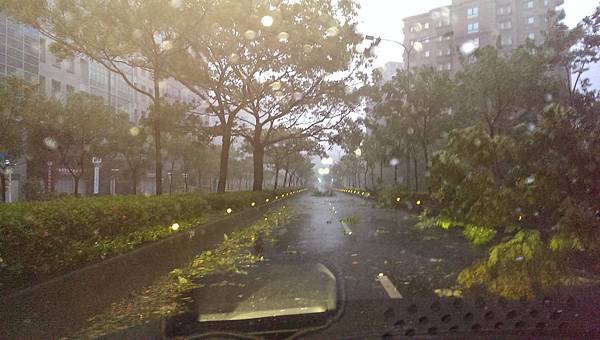 IMAG5957.jpg IMAG5957.jpg