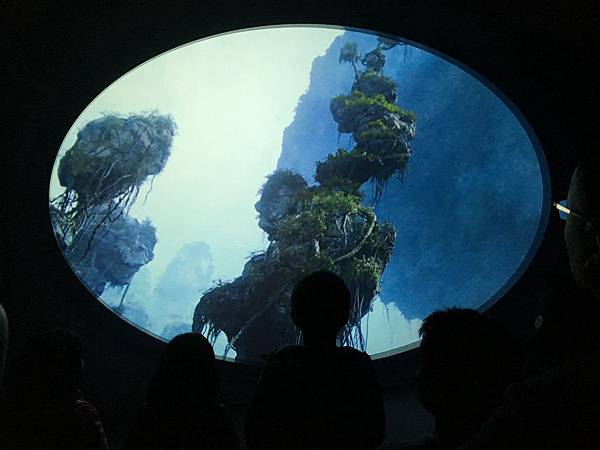 IMG_5175.JPG IMG_5175.JPG