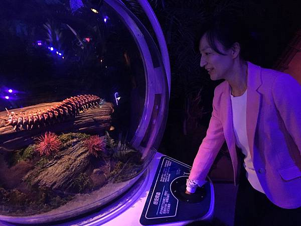 IMG_5188.JPG IMG_5188.JPG