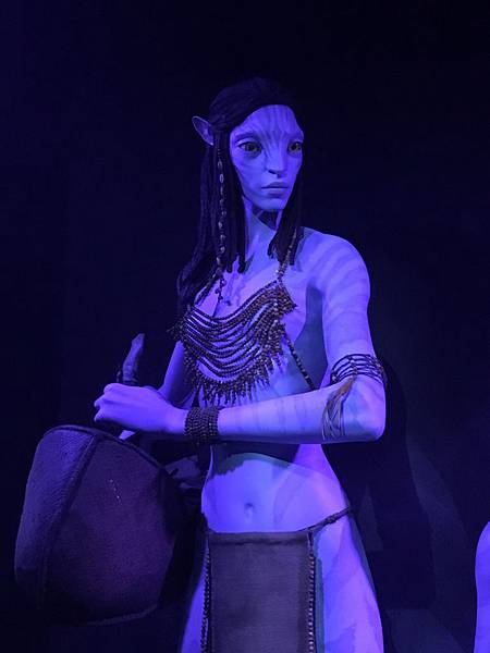 IMG_5203.JPG IMG_5203.JPG