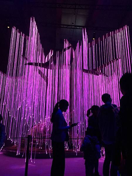 IMG_5230.JPG IMG_5230.JPG