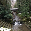 IMG_5710.JPG