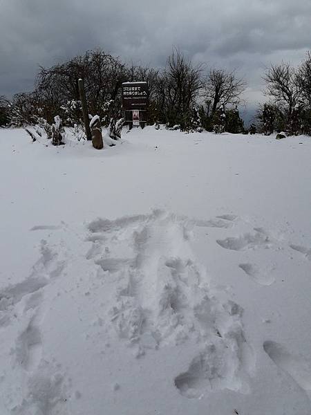 IMG_5796.JPG IMG_5796.JPG