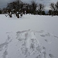 IMG_5796.JPG
