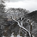 IMG_5798.JPG