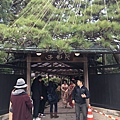 IMG_5869.JPG