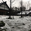IMG_5715.JPG