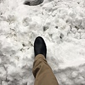 IMG_5766.JPG