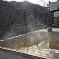 IMG_7372.JPG