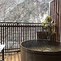 IMG_7383.JPG