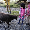 IMG_3031.JPG